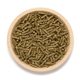 Kaninchen Allround