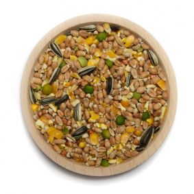 Körnerfutter Plus GVO-frei